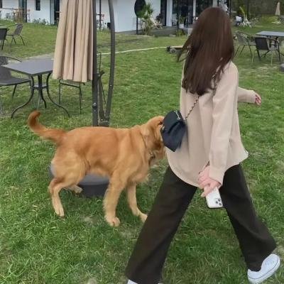 生死暗镖